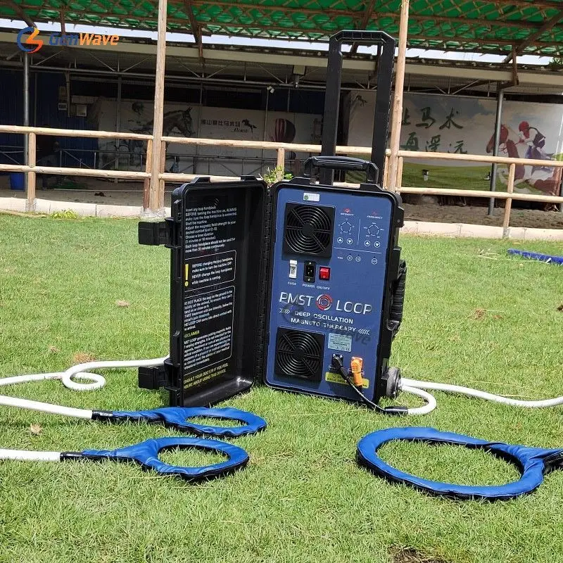 Эквин петля PMST электромагнитный Feild для лошади физиотерапия Hofmag машина