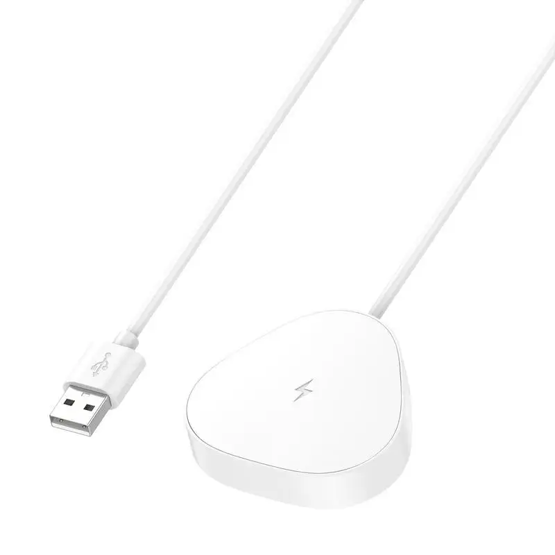 

Safe Charging Magnetic Charger Compatible With Sonos Roam/ Sonos Roam SL Wireless Speaker With Over-current Protection