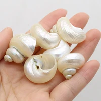 3pc natural shells conch craft fish tank aquarium ornaments decor diy charms for jewelry making earrings bracelet diy accessries