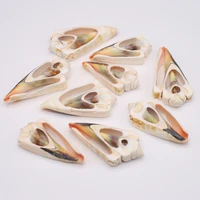 natural shell beads triangle cutted conch bead no hole charms for jewelry making necklace bracelet gift decoration