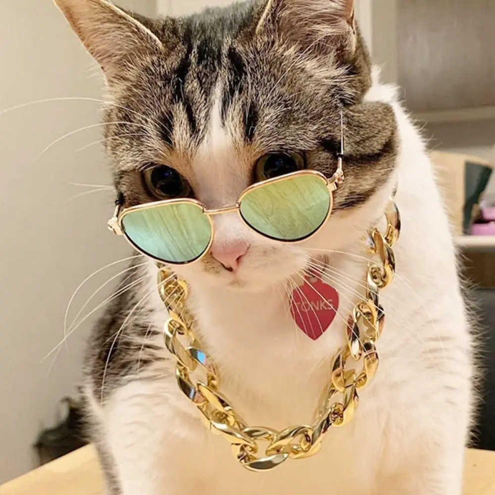 Без обесцвечивания Премиум-аксессуар для кошек Аксессуар щенков и домашних