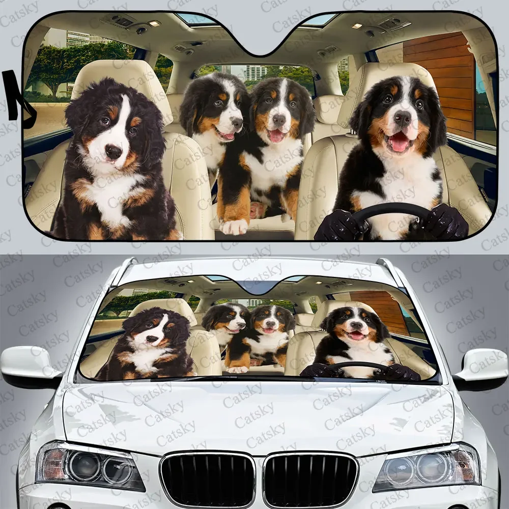 

Солнцезащитный козырек Bernese для автомобиля, складной козырек от солнца для лобового стекла автомобиля, с защитой от ультрафиолета