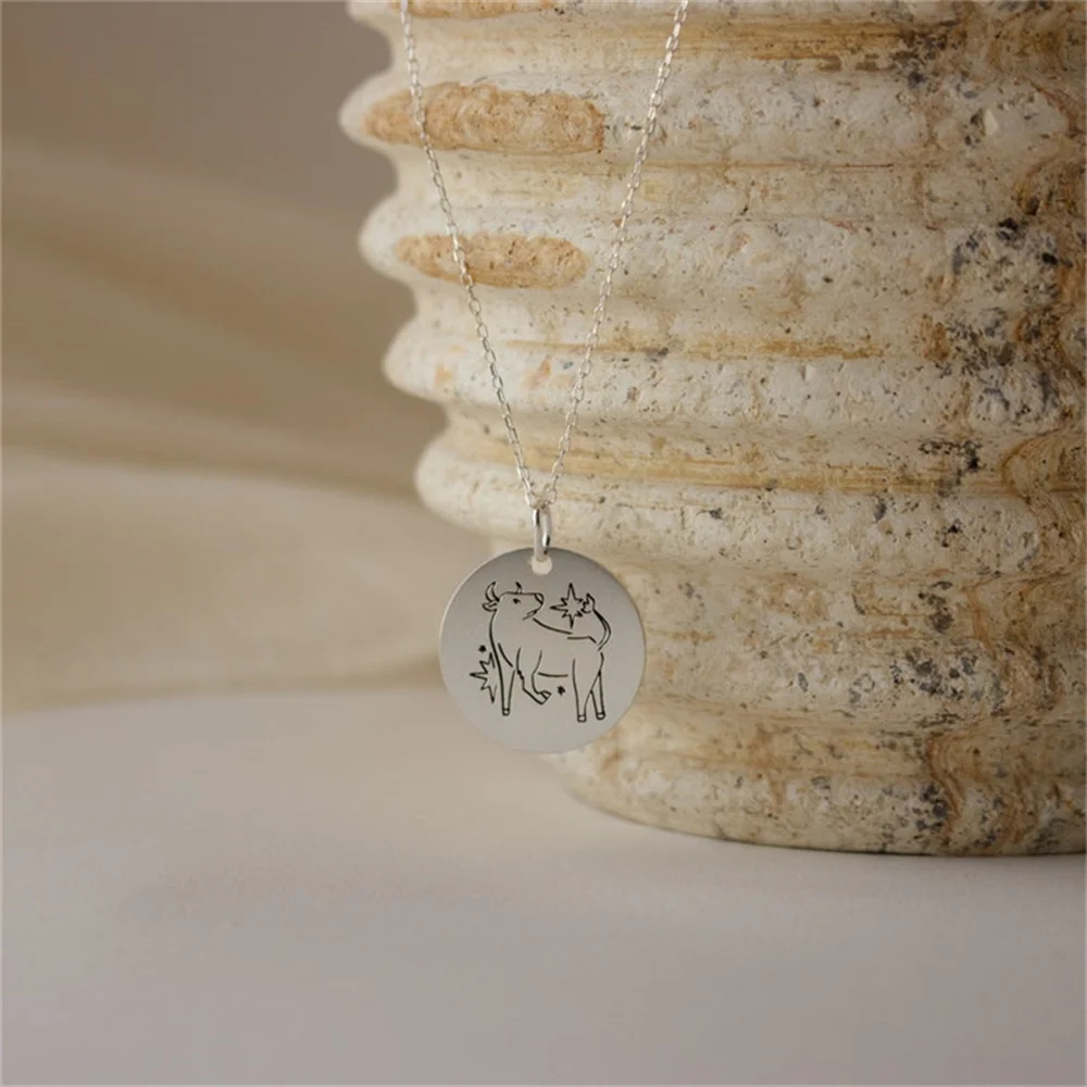 Minimalist Men's And Women's Identical Necklace Twelve Constellations Jewelry Stainless Steel Medal Pendant Necklace Gift Wholes