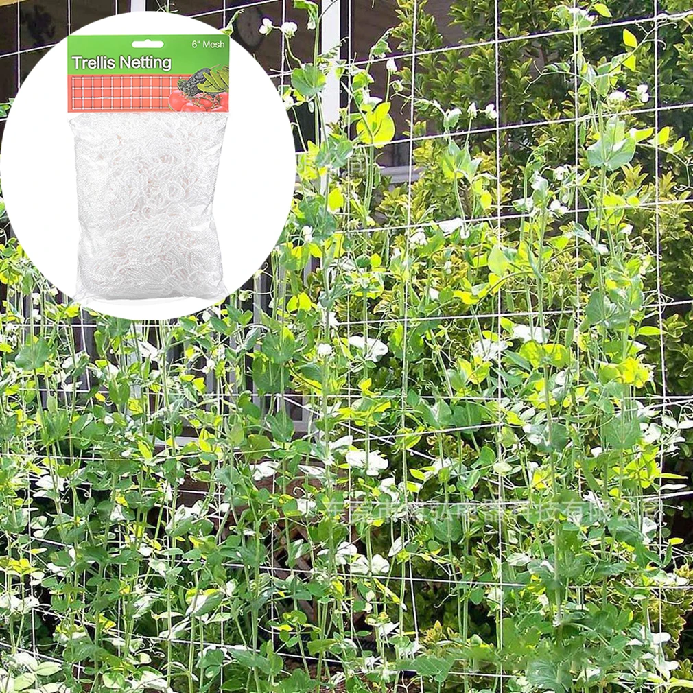 Садовые растения Альпинистская сетка Полиэстеровая Утренняя слава Сетка для