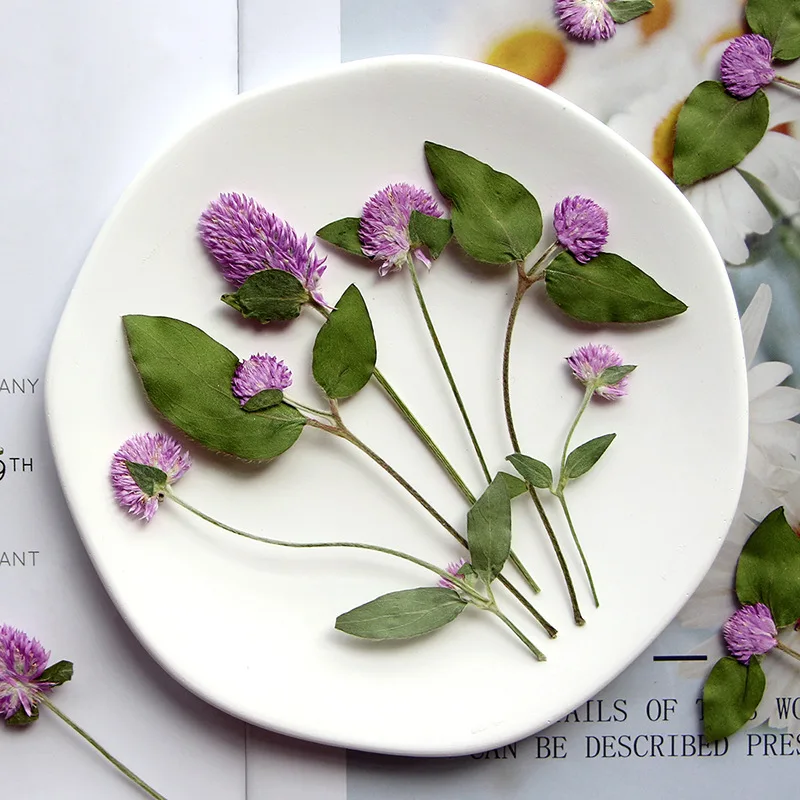 6-15 см/12 шт. натуральная прессованная Цветочная ветка гомфрены DIY тисненый клей