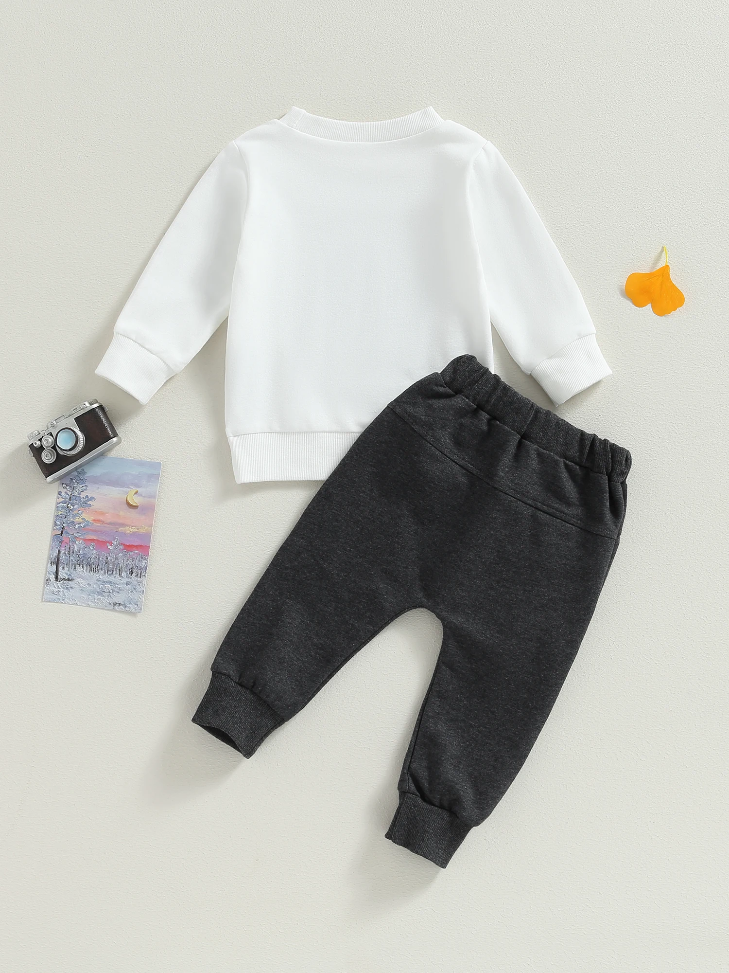 

Cute and Comfy Baby Girl Outfit Floral Print Long Sleeve Top and Ruffled Pants Set for Stylish Toddlers