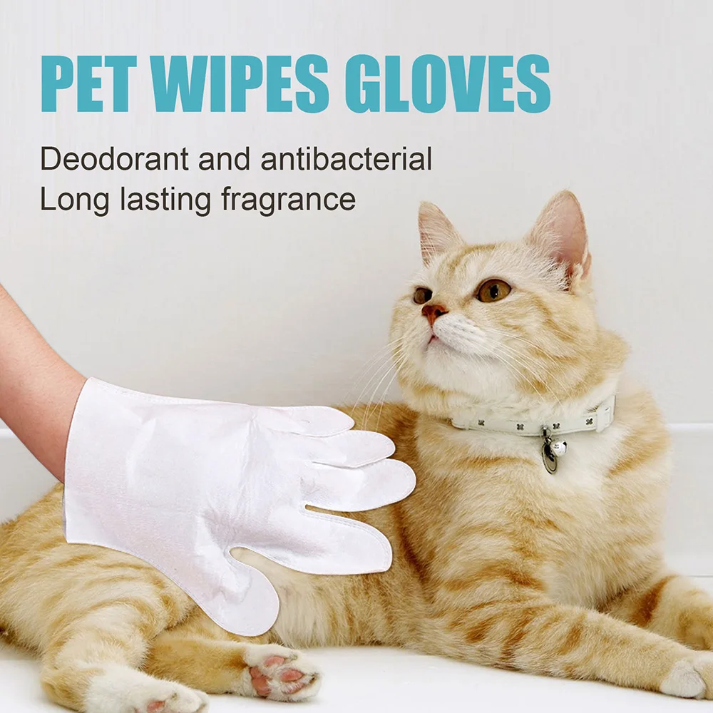 

6Pcs Disposable Pet Stain Remover Wipes Non-Woven Fabric Glove No Wash Wipes for Dogs Cats Cleaning Grooming Supplies