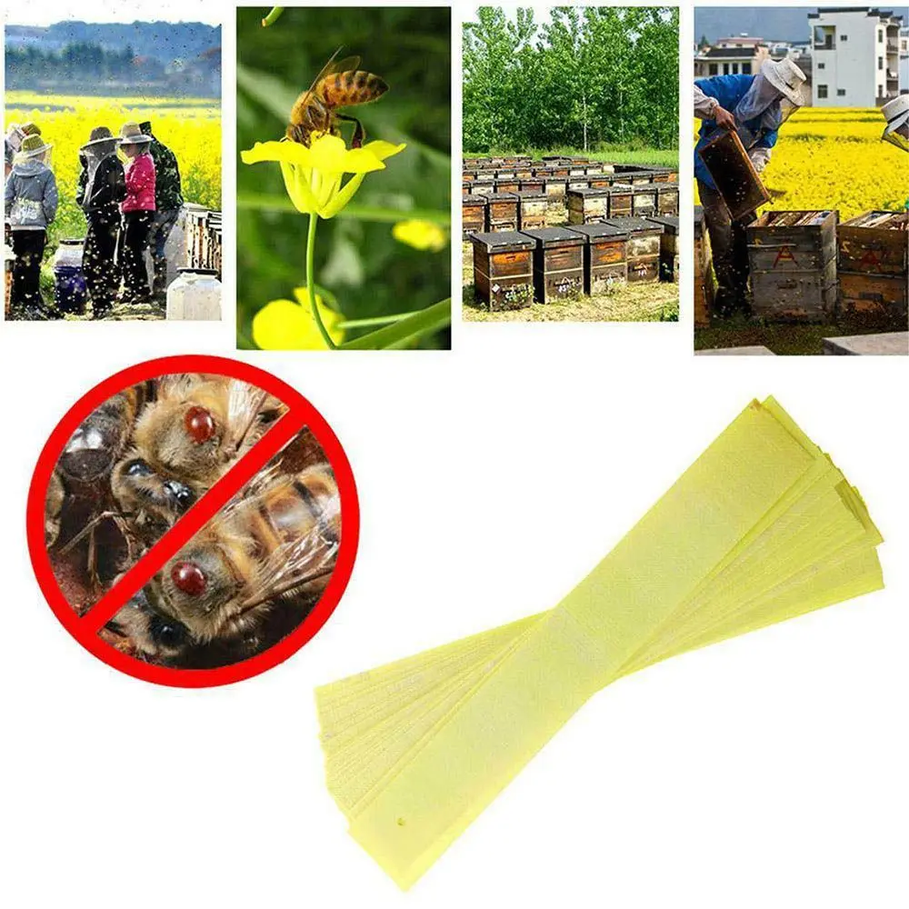 

1 bag/20pcs bee mite fluvalinate strip strips beekeeping varroa farm mite killer treatment acaricide control medicine supplies
