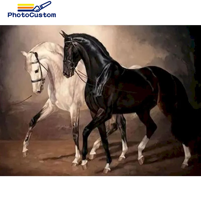 

PhotoCustom 5D алмазная живопись Волшебная лошадь набор для взрослых полная Алмазная вышивка мозаика картина животные со стразами Декор подарок