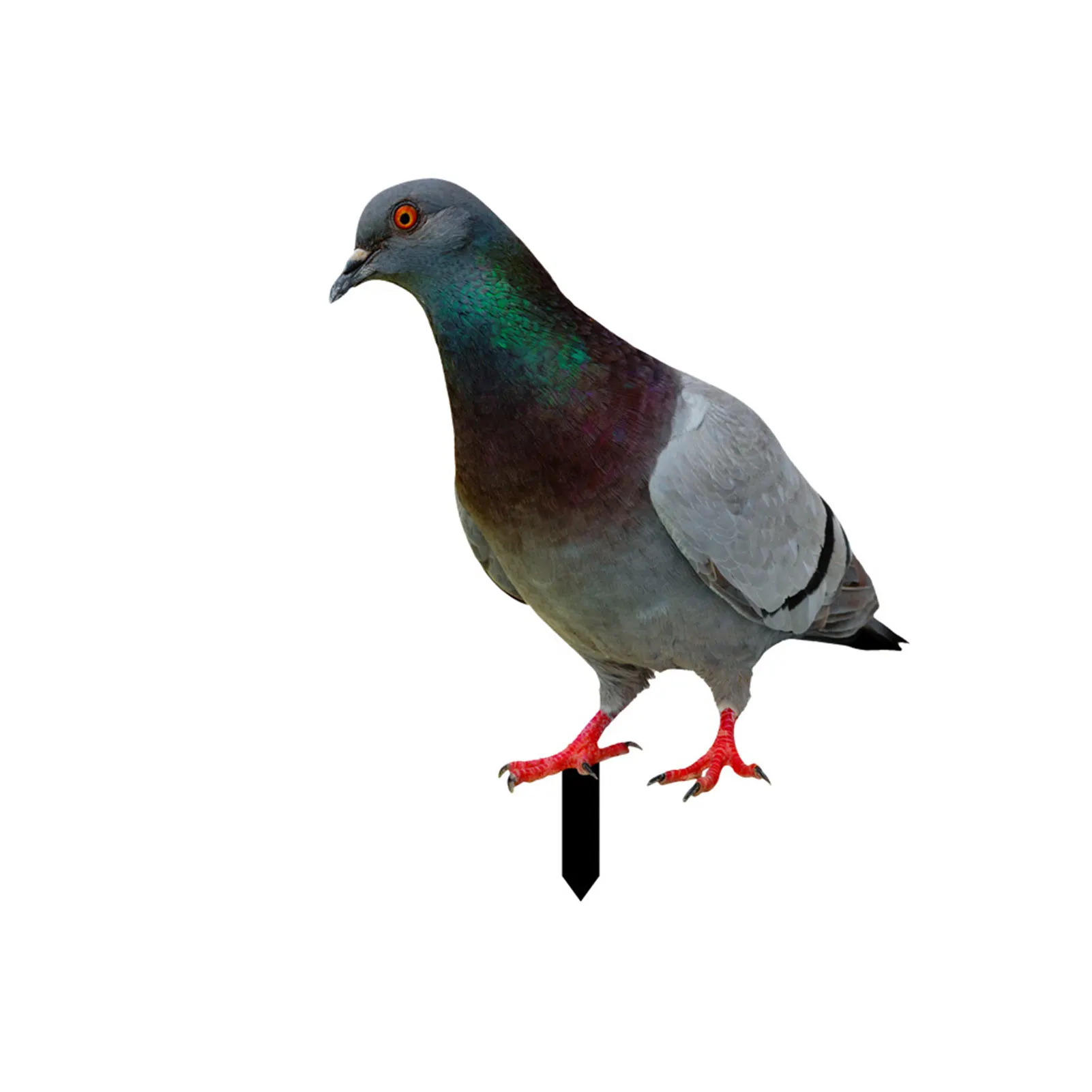 

3D Simulation Pigeon Yard Art Decor Imitation Animal Fake Pigeon Home Ornament for Lawn Backyard Decoration