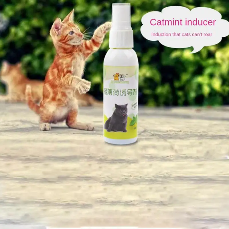 

Easy To Use Catnip Spray 50ml Cat Catnip Spray Healthy Ingredients Pets Gifts Attractant For Kittens & Cats Cat Accessories Safe