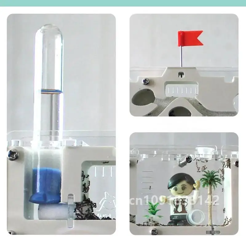 Замок муравья 2021 M экологическая коробка для насекомых мастерская муравьев племя