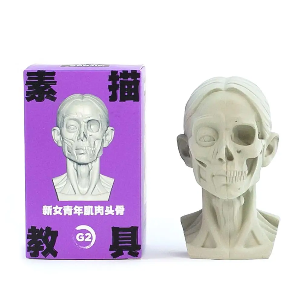 

Резиновая модель головы для рисования