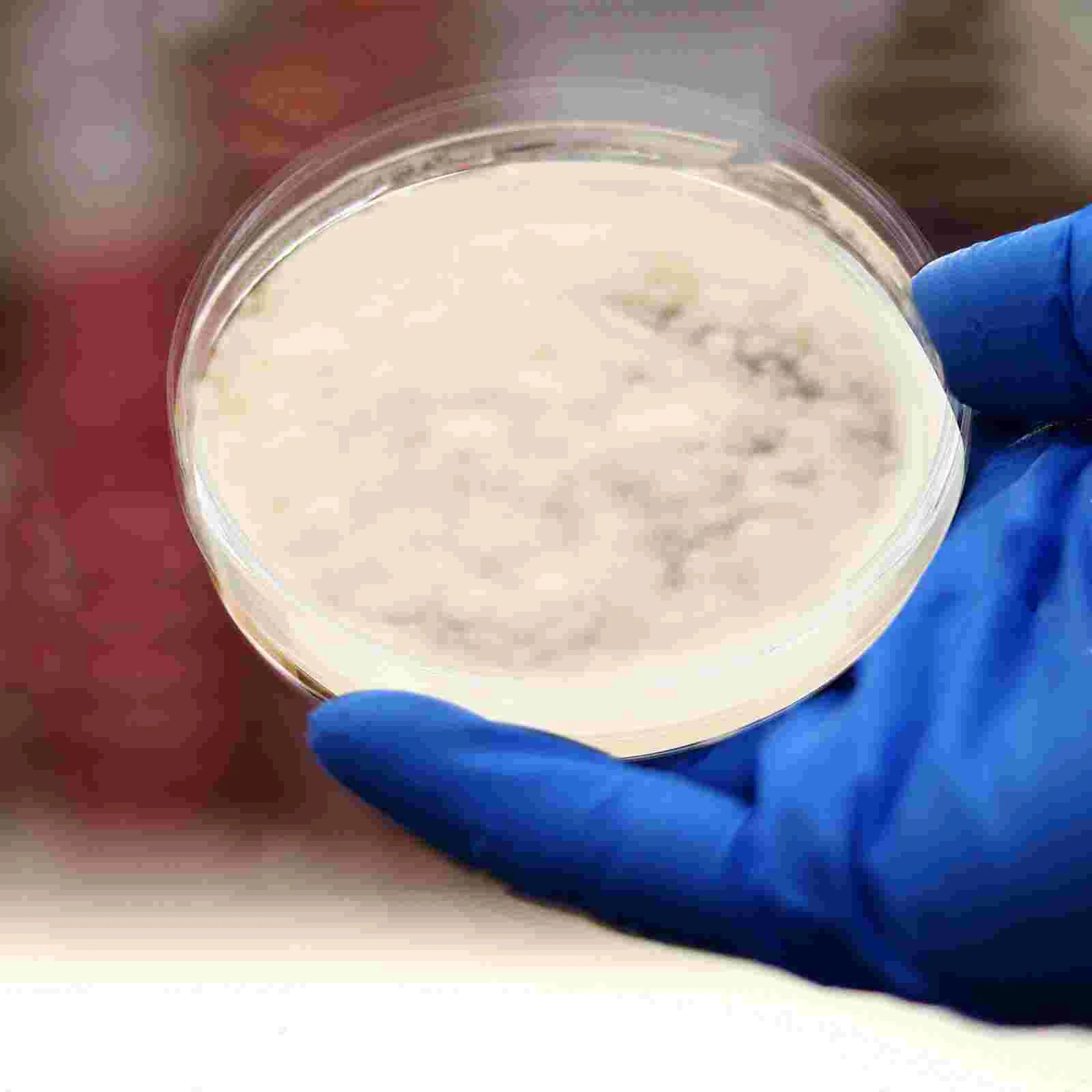 10 шт. биологическое оборудование для определения Agar Plate готовые пластины