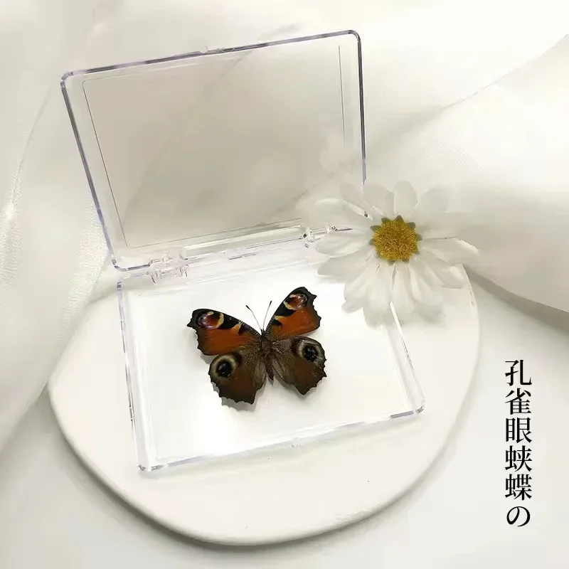 

Набор из 27 настоящих бабочек для украшения