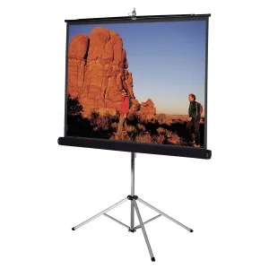 Экран для проектора Victory 100 дюймов на штативе | Электроника