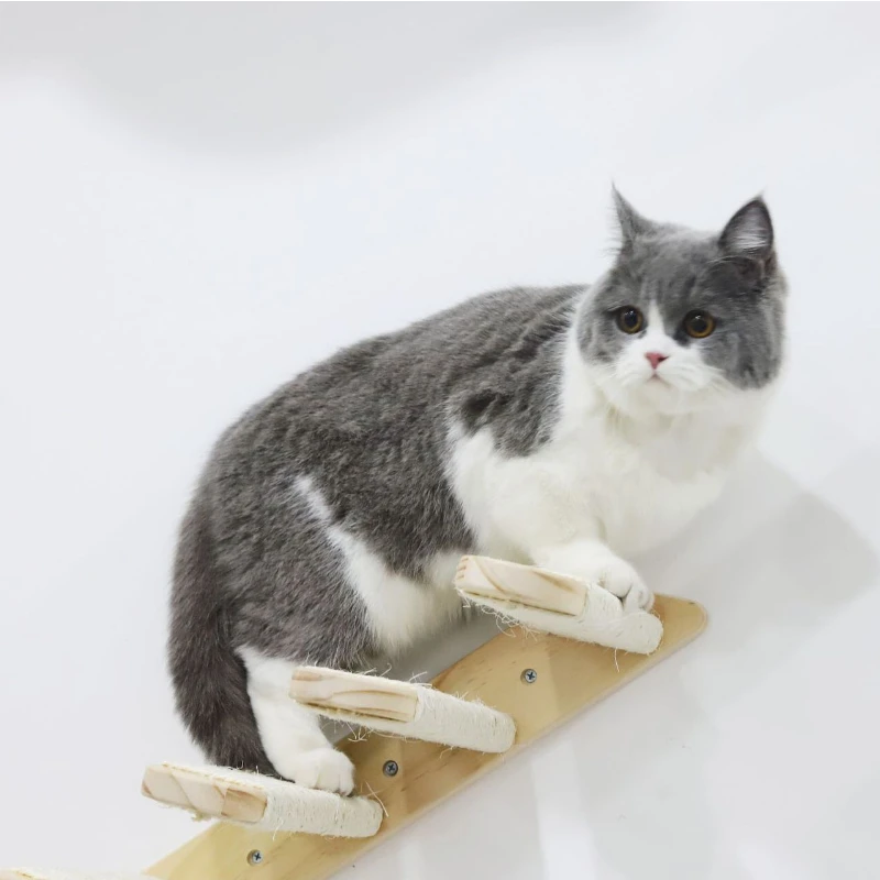 Diy Pine Solid Wood Cat Hanging Bed Jumping Platform Cat Scratching Climbing Post Pet Furniture