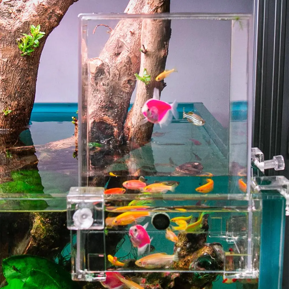 Аквариумная рыба отрицательного давления Aquascape экологическое акриловое