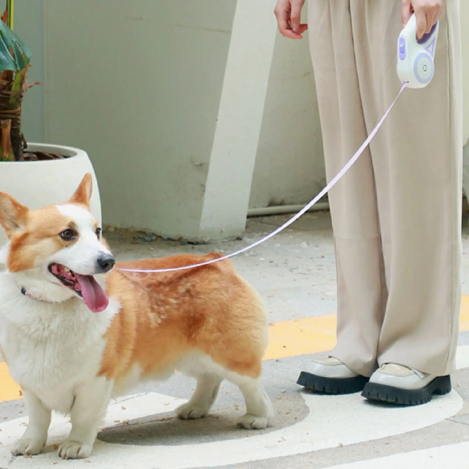 

Выдвижной Поводок для собак со светильник кой, набор веревок и Ошейников для прогулок и бега