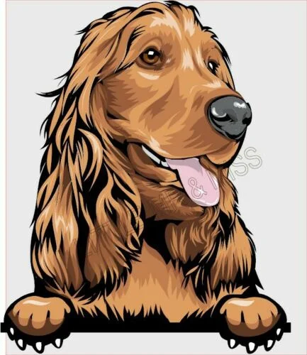 

For COCKER SPANIEL Peeking Dog Breed Colour Window Laptop Wall Sticker150mm