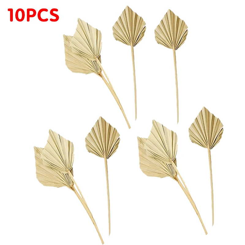10 Pcs Natural Dried Palm Leaves Dried Palm Fans For Room Home Wedding Decor