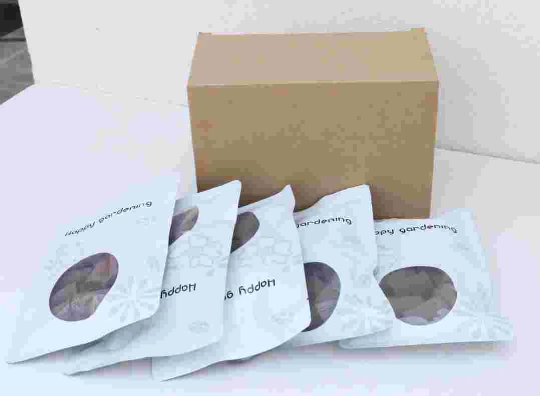 

60pcs Plants Home Compatible Vegetable Indoor Garden Supplies Supplies For Hydroponic