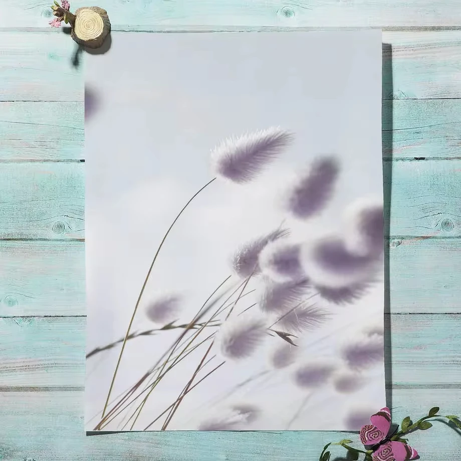 Настенная картина в скандинавском стиле с изображением пляжа Кита моста язычков