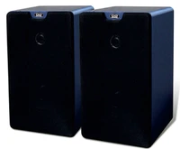 10w ip network monitor wooden speakers