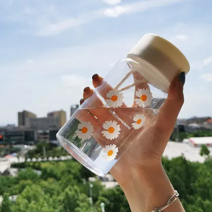 

480ml Small Daisy Transparent Plastic Water Bottles BPA Free Creative Frosted Water Bottle With Portable Rope Travel Tea Cup