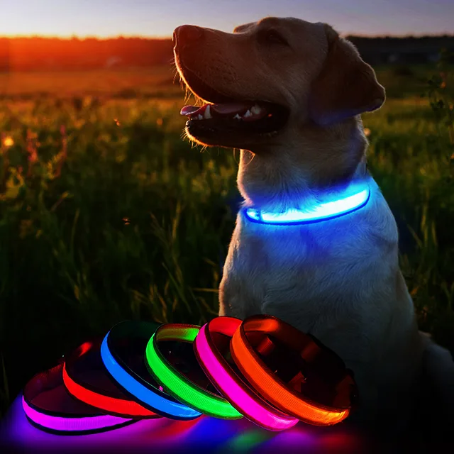 MASBRILL Dog Collar Luminous Pet Supplies Dog Collar Waterpoof Safety Collars dropship 2