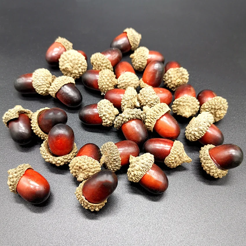 

20pcs 3.3x2.3cm Artificial Mini Acorns Simulation Small Acorn Plant Wedding Fake Fruit Photography Props Christmas Decor
