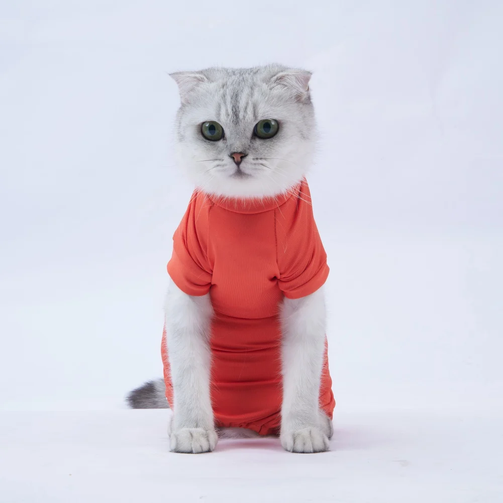 Пост-операционный костюм для восстановления реабилитации после хирургического вмешательства для домашних животных.