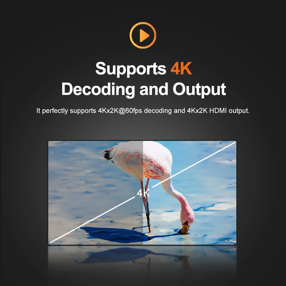 Liontron Mini Host Slient безвентиляторный Rockhip Rk3568 Подходит для промышленной автоматизации