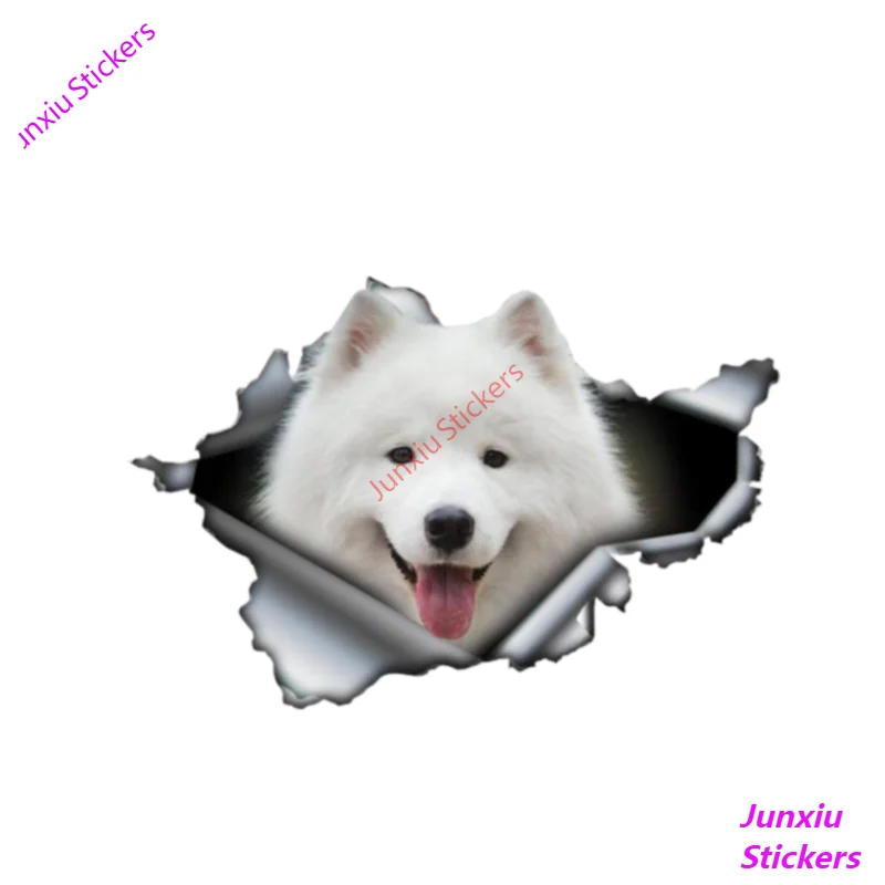 

Samoyed Sticker 3D Pet Graphic Car Stickers and Decal for Car Bumper Window Laptop Animal Suv Interior car Decoration PVC13x9cm