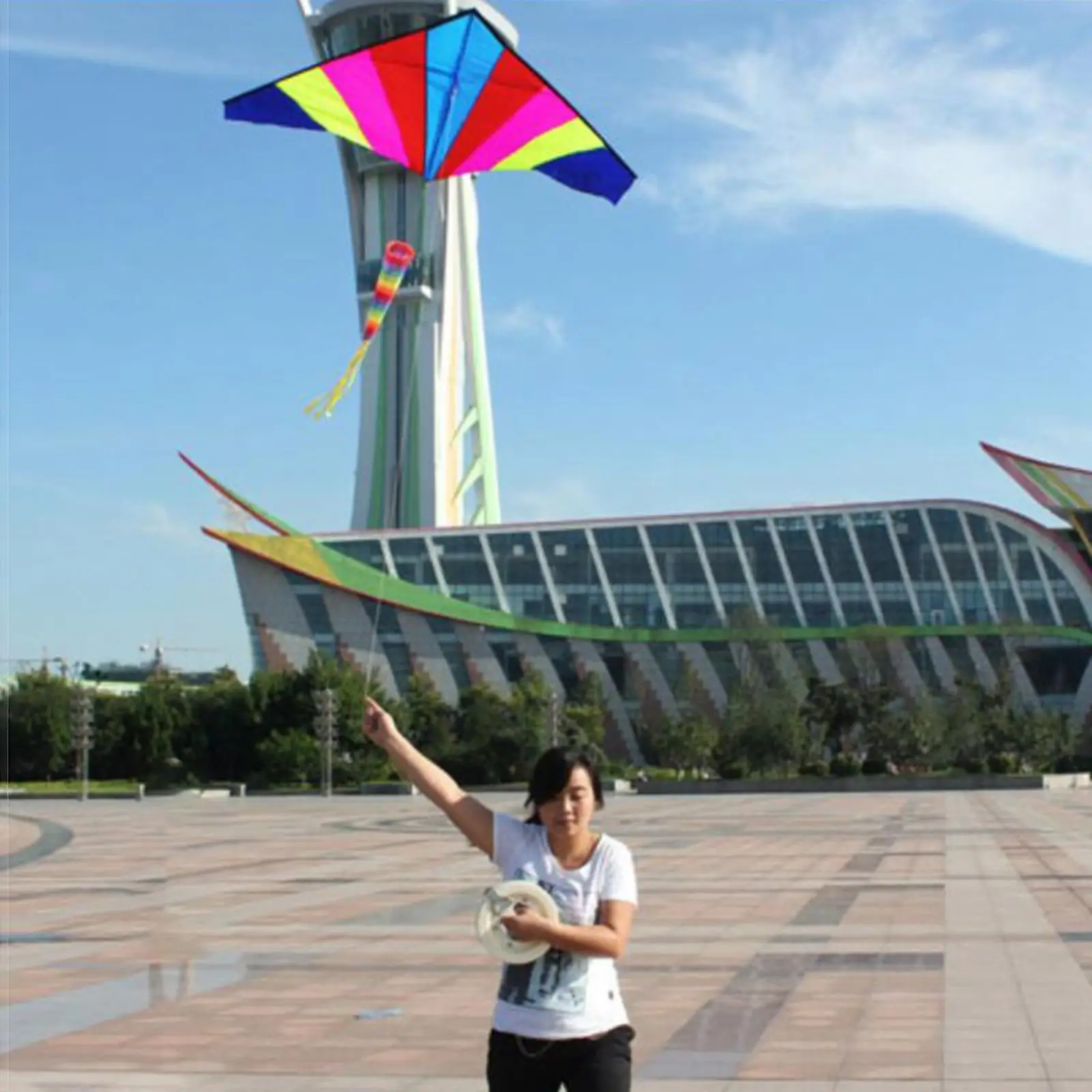 

Giant Delta Kite Windsock with String Vivid for Garden Toy Outdoor