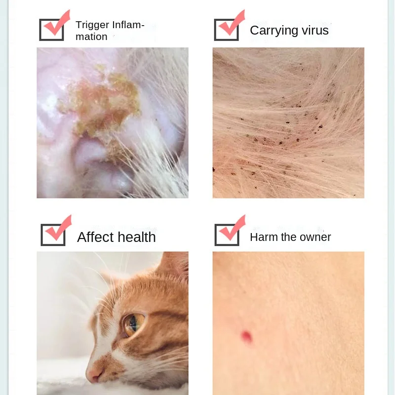 

Cat Flea Collar Pet Mosquito Repellent Insect Collar Dog In vitro Repellent Dog Flea Ring Pet Supplies