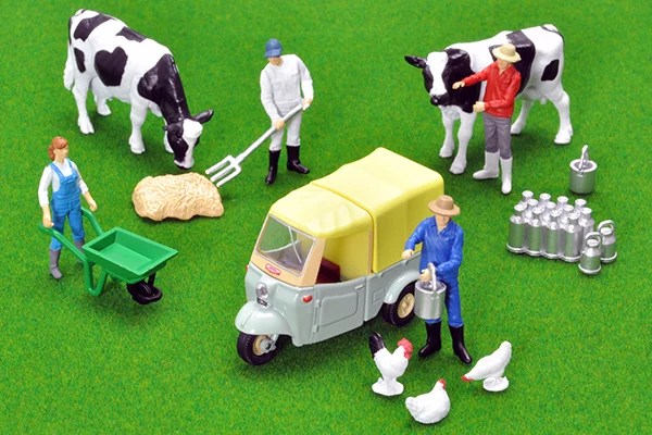 Model Toy Gift