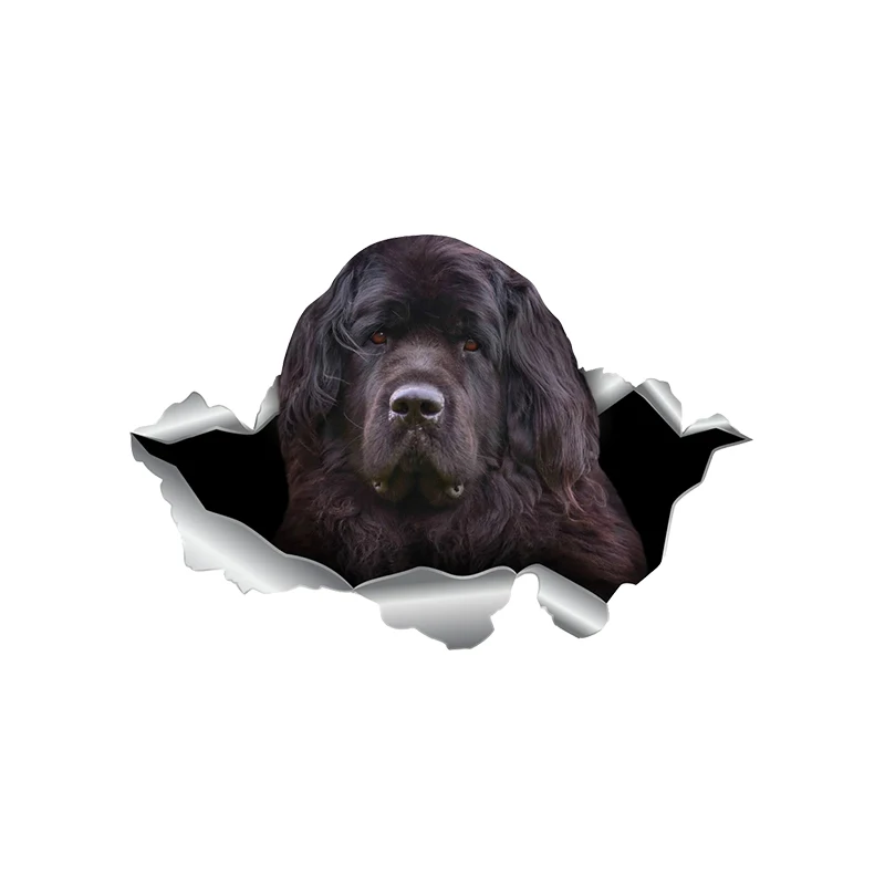 

V1118 # Автомобильная наклейка Newfie Dog Pet Animal, водонепроницаемая виниловая наклейка, автомобильные аксессуары, декоративные наклейки для авто