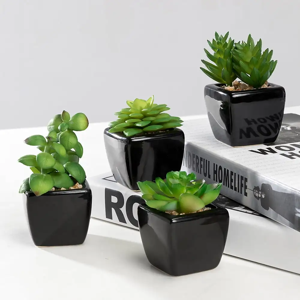 

Modern Mini Artificial Succulent Plants Potted in Cube-Shape Black Ceramic Pots for Home Decor, Set of 4 Garden Decoration