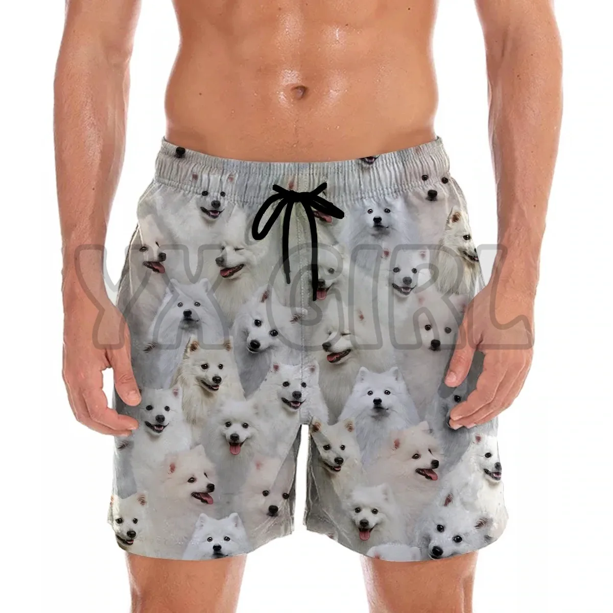 You get a lot of Japanese Spitzs Shorts  3D All Over Printed Men's Shorts Quick Drying Beach Shorts Summer Beach Swim Trunks