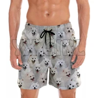 you get a lot of japanese spitzs shorts 3d all over printed mens shorts quick drying beach shorts summer beach swim trunks