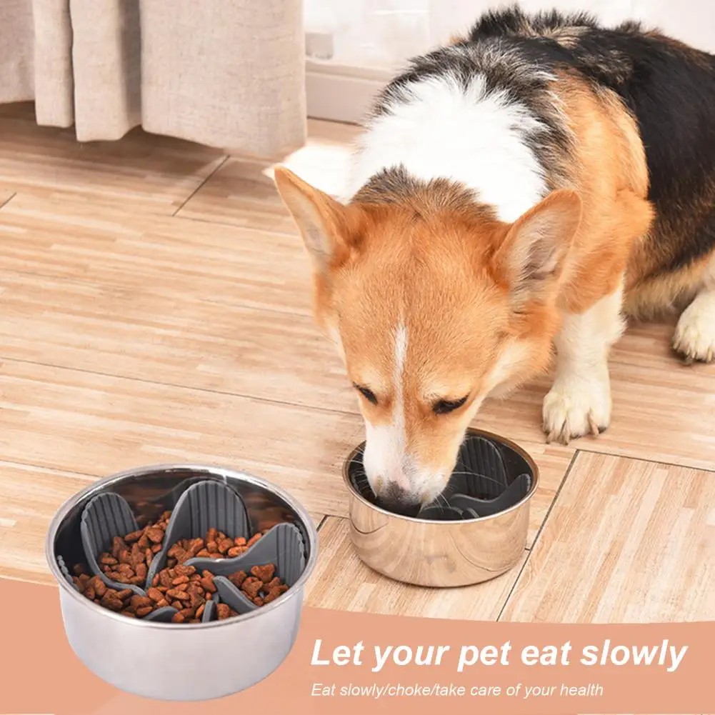 

Pet Slow Feeder Insert Suction Cups Bottom Food-Grade Silicone Cats Dogs Bowl Insert Pet Accessories