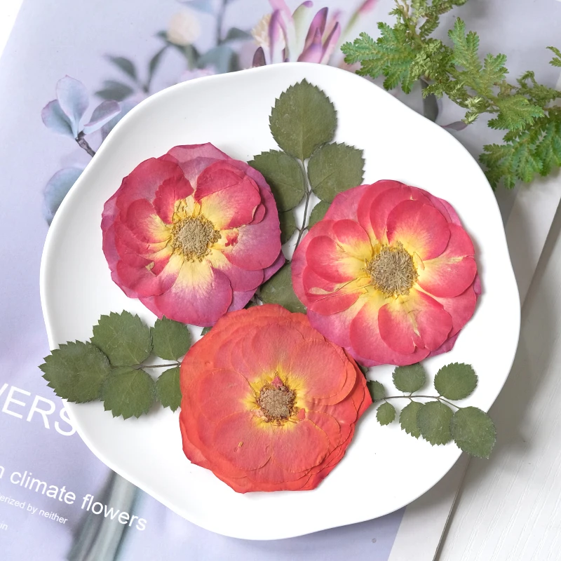 5-8 см/4 шт. большая роза сухая Цветочная прессованная наклейка для лица макияж