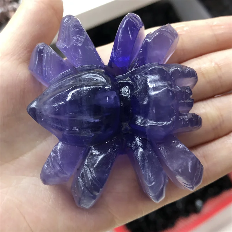 

Natural Fluorite Spider Stones Quartz Minerals Crystals Carved Gemstones Healing Reiki Gems Home Decoration