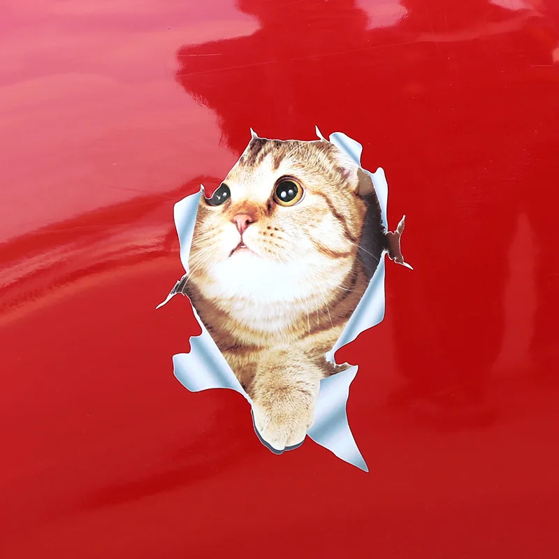 

Kitten Peeping Animal Funny Car Styling Decorative Sticker Car Window Decal Auto Parts Cover scratches