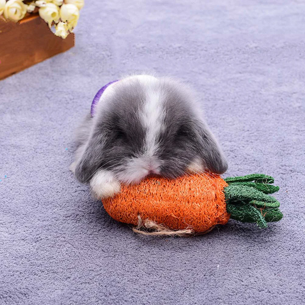 

Carrot Toy Carrots Easter Rabbit Decorations Faux Party Favors Simulation Table Mini Chew Dog Petcreative Hamsters Teeth