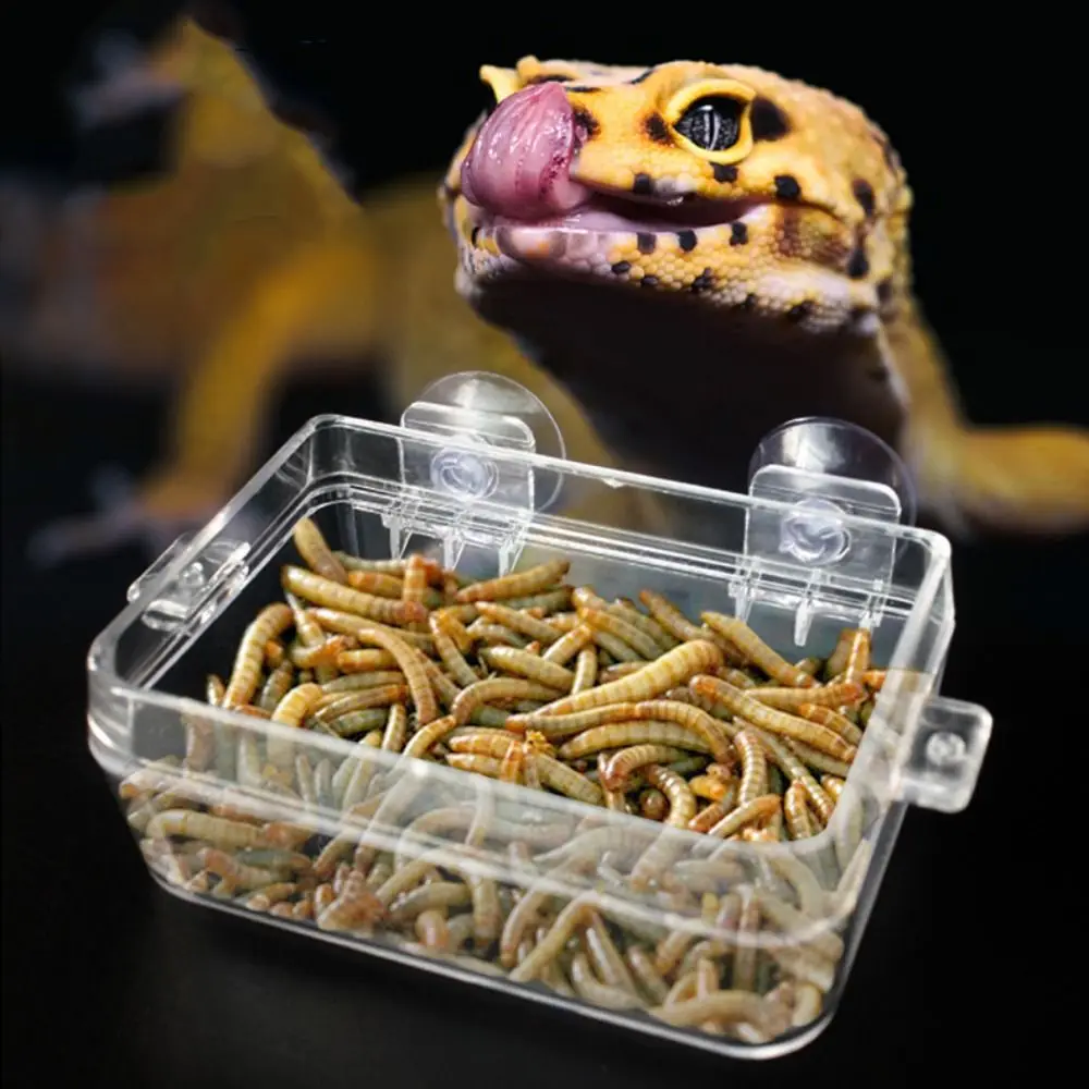 

Plastic Reptile Anti Escape Feeder Anti-escape Suction Cup Reptile Feeder Dish Practical for Snakes Turtles Spider Lizard Food