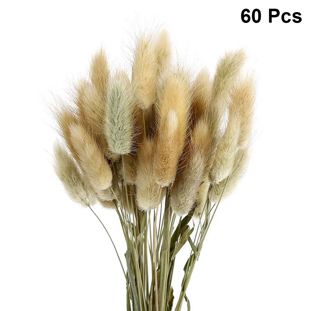 

1 Bunch/60 Pcs Wedding Decoration Dried Grass Rabbit Tail Hay Natural Plants Dried Flowers for Photography Flower Arrangement