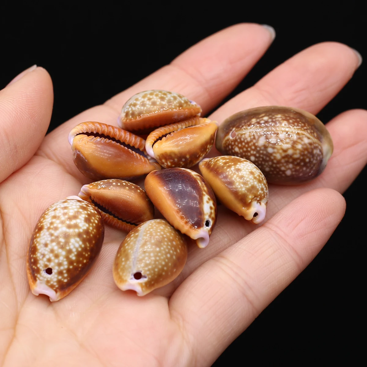 

Natural Shell Conch Home Decoration Jewelry Making Diy Handmade Creative Crafts Trinket Fish Tank Aquarium Ornaments 20pcs