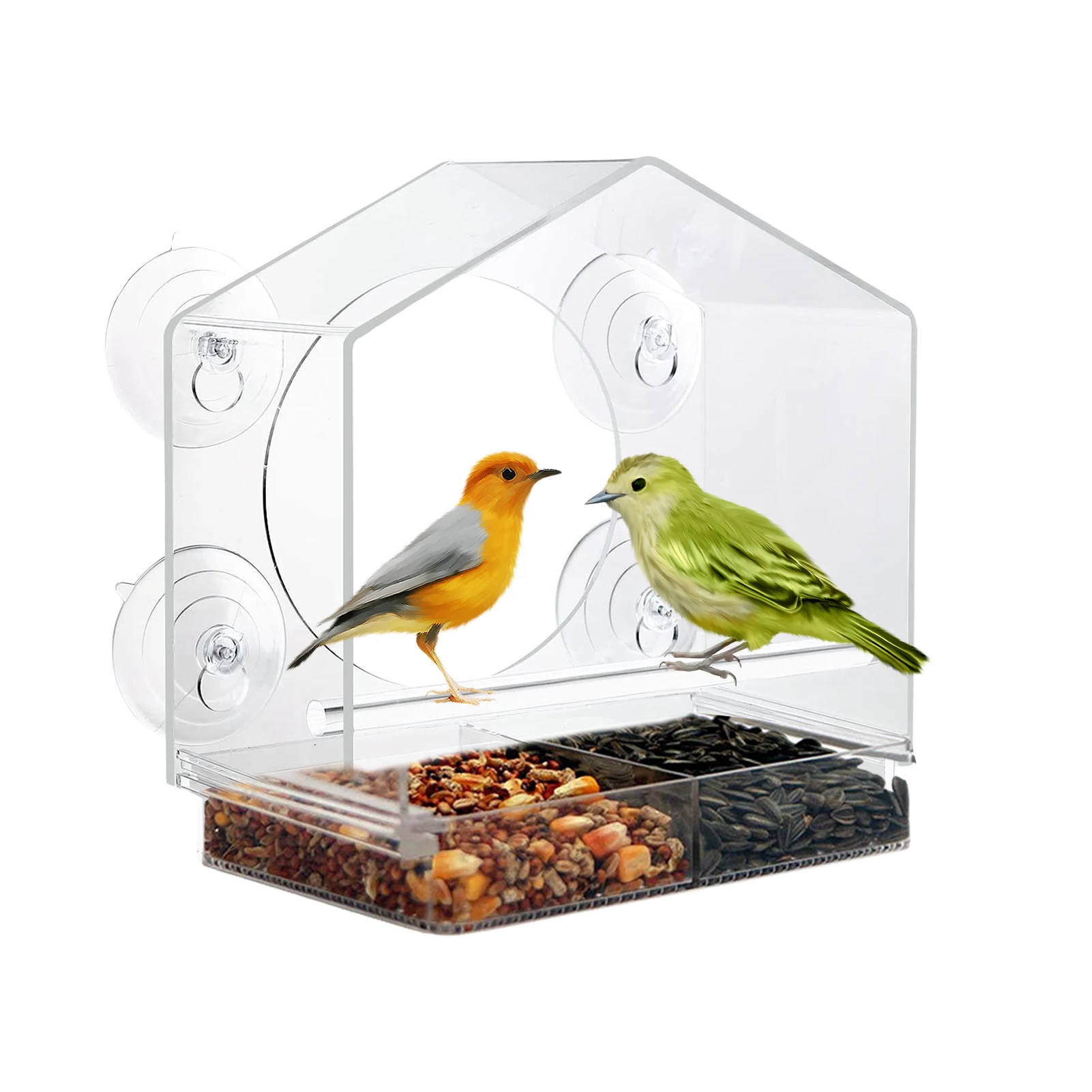 For Outside Clear Bird Feeders For Viewing Blue Jays Finches